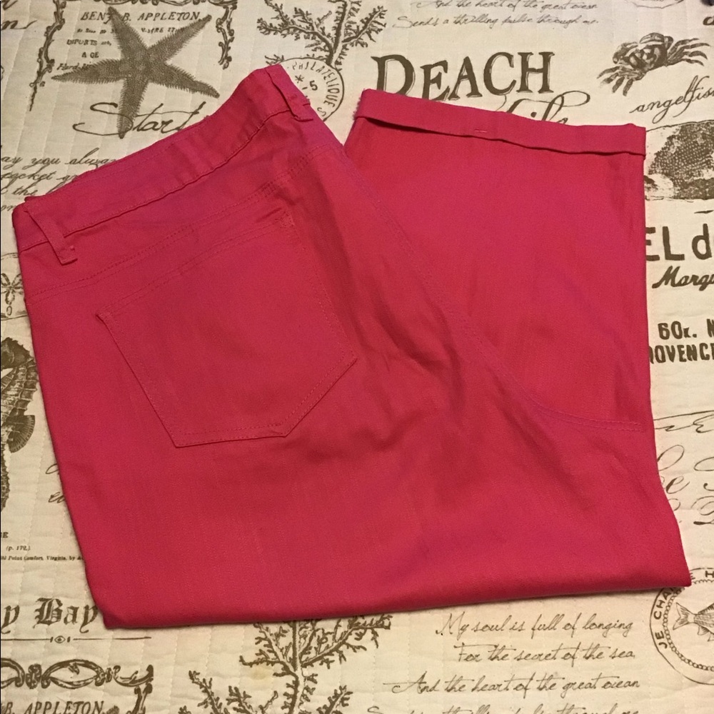 Women’s Plus Size Capris SZ 22